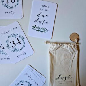 Pregnancy milestone cards – Lush Collection