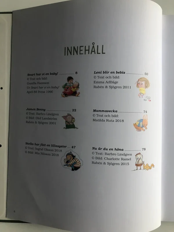 SAMLINGSVOLYM Syskon tolv berättelser om att ha syskon - Bild 4